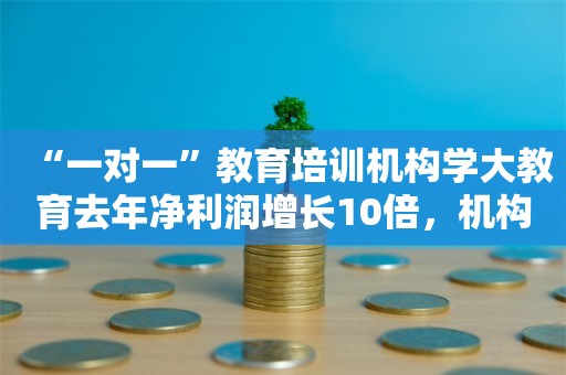 “一对一”教育培训机构学大教育去年净利润增长10倍，机构称行业需求旺盛