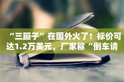 “三蹦子”在国外火了！标价可达1.2万美元，厂家称“倒车请注意”将推出英文版