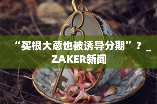 “买根大葱也被诱导分期”？_ZAKER新闻