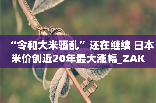 “令和大米骚乱”还在继续 日本米价创近20年最大涨幅_ZAKER新闻