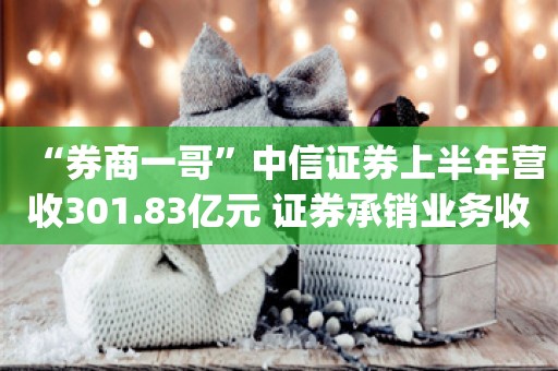 “券商一哥”中信证券上半年营收301.83亿元 证券承销业务收入同比下滑54.62%_ZAKER新闻