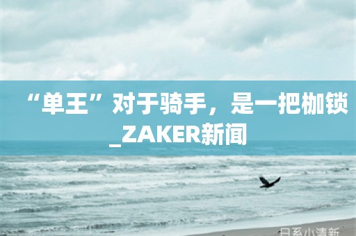 “单王”对于骑手，是一把枷锁_ZAKER新闻