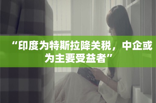 “印度为特斯拉降关税，中企或为主要受益者”