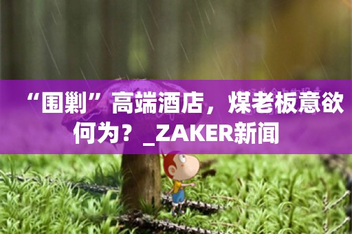 “围剿”高端酒店，煤老板意欲何为？_ZAKER新闻