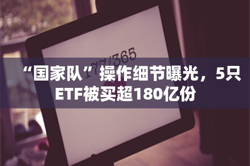 “国家队”操作细节曝光，5只ETF被买超180亿份