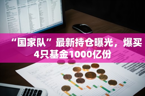 “国家队”最新持仓曝光，爆买4只基金1000亿份