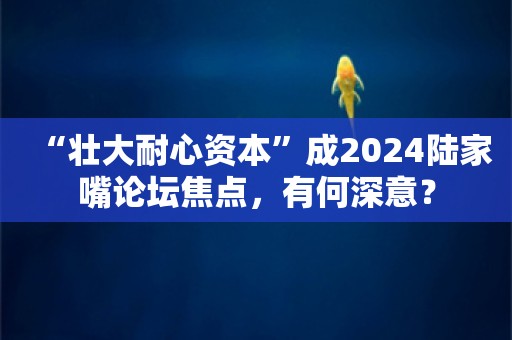 “壮大耐心资本”成2024陆家嘴论坛焦点，有何深意？