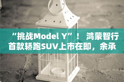 “挑战Model Y”！ 鸿蒙智行首款轿跑SUV上市在即，余承东称“智界的爆发力还在后面”