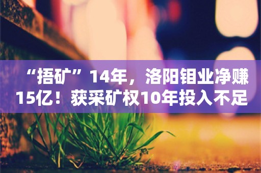 “捂矿”14年，洛阳钼业净赚15亿！获采矿权10年投入不足3000万，环评刚报批