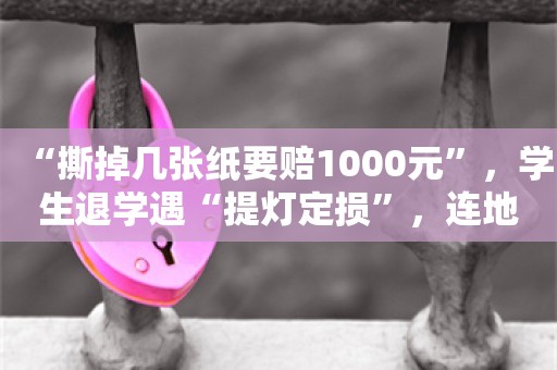 “撕掉几张纸要赔1000元”，学生退学遇“提灯定损”，连地砖也纳入待查