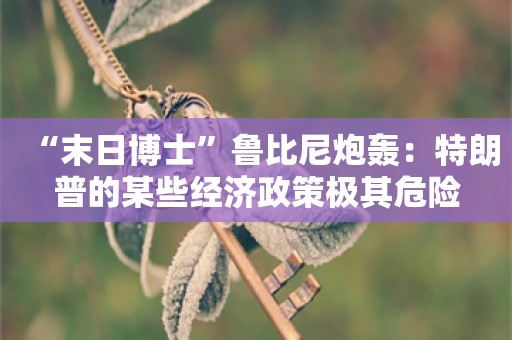 “末日博士”鲁比尼炮轰：特朗普的某些经济政策极其危险