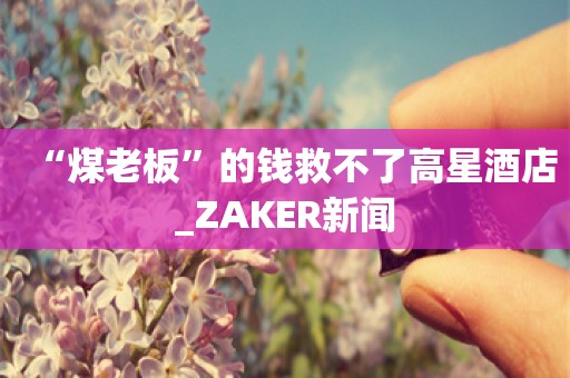 “煤老板”的钱救不了高星酒店_ZAKER新闻