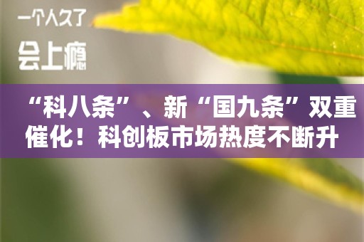 “科八条”、新“国九条”双重催化！科创板市场热度不断升温