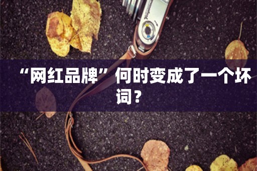 “网红品牌”何时变成了一个坏词？