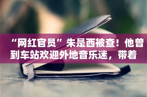 “网红官员”朱是西被查！他曾到车站欢迎外地音乐迷，带着输液留置针头开会