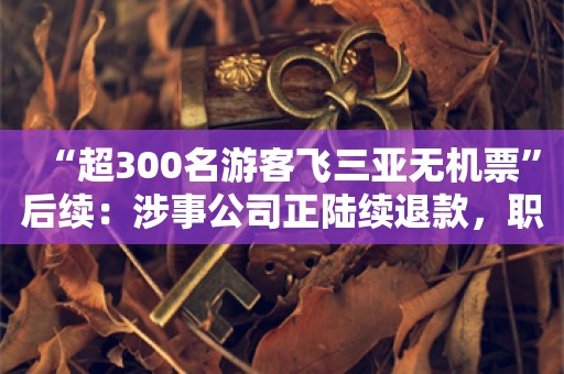 “超300名游客飞三亚无机票”后续：涉事公司正陆续退款，职能部门已启动执法程序