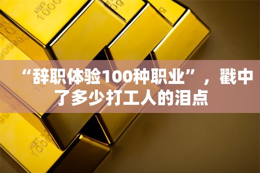 “辞职体验100种职业”，戳中了多少打工人的泪点