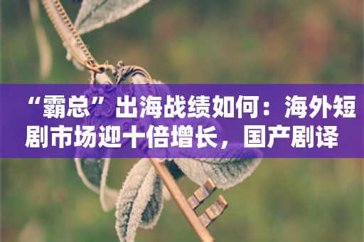 “霸总”出海战绩如何：海外短剧市场迎十倍增长，国产剧译制成新方向