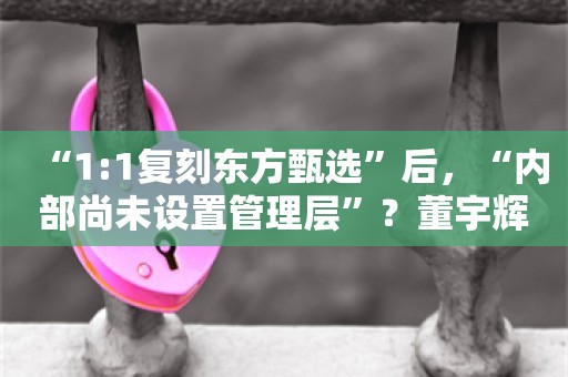 “1:1复刻东方甄选”后，“内部尚未设置管理层”？董宇辉变“董老板” 罗永浩：双输！