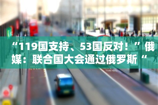 “119国支持、53国反对！”俄媒：联合国大会通过俄罗斯“打击美化纳粹主义”相关决议