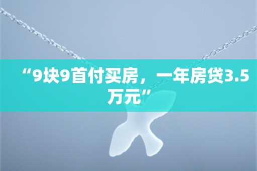 “9块9首付买房，一年房贷3.5万元”