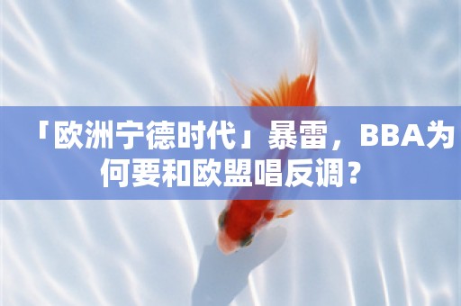 「欧洲宁德时代」暴雷，BBA为何要和欧盟唱反调？