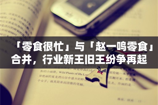 「零食很忙」与「赵一鸣零食」合并，行业新王旧王纷争再起