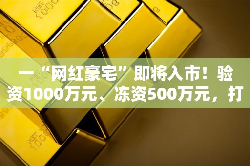 一“网红豪宅”即将入市！验资1000万元、冻资500万元，打破多个深圳楼市纪录！取证前就有销售频繁加班至深夜