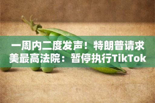 一周内二度发声！特朗普请求美最高法院：暂停执行TikTok强制出售令