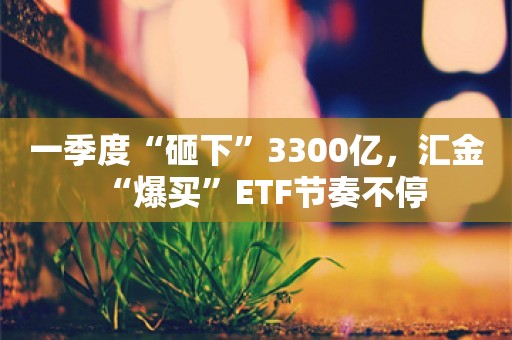 一季度“砸下”3300亿，汇金“爆买”ETF节奏不停