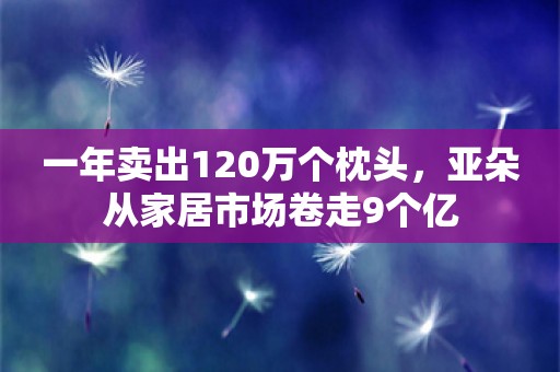 一年卖出120万个枕头，亚朵从家居市场卷走9个亿