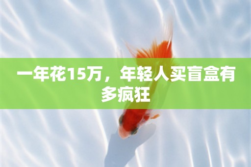 一年花15万，年轻人买盲盒有多疯狂