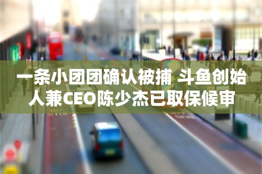 一条小团团确认被捕 斗鱼创始人兼CEO陈少杰已取保候审