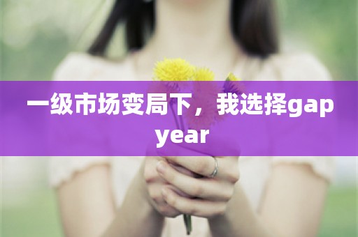 一级市场变局下，我选择gap year