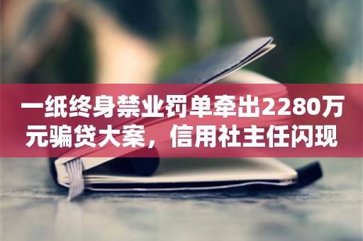 一纸终身禁业罚单牵出2280万元骗贷大案，信用社主任闪现其中亲自助力，案涉机构另有多人被终身禁业