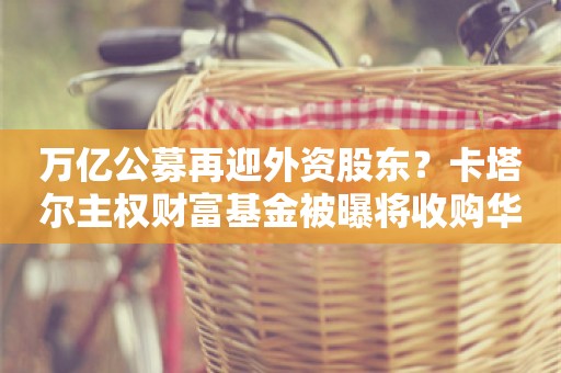 万亿公募再迎外资股东？卡塔尔主权财富基金被曝将收购华夏基金10%股权