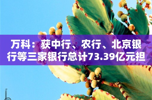 万科：获中行、农行、北京银行等三家银行总计73.39亿元担保贷款