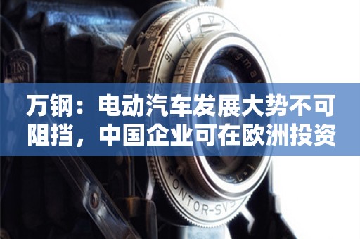 万钢：电动汽车发展大势不可阻挡，中国企业可在欧洲投资融入当地产业链