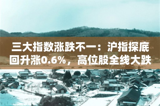 三大指数涨跌不一：沪指探底回升涨0.6%，高位股全线大跌