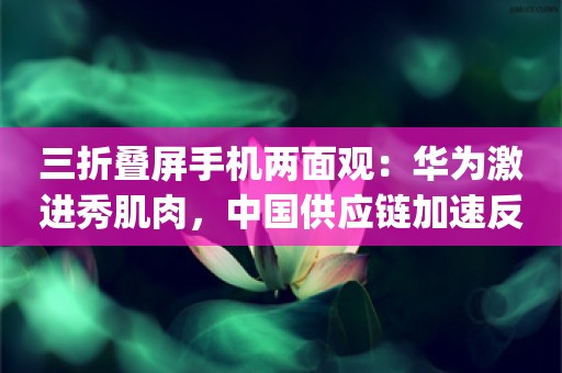 三折叠屏手机两面观：华为激进秀肌肉，中国供应链加速反超_ZAKER新闻