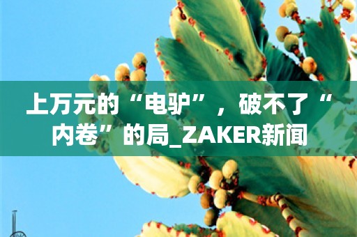 上万元的“电驴”，破不了“内卷”的局_ZAKER新闻