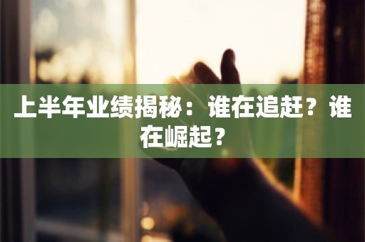 上半年业绩揭秘：谁在追赶？谁在崛起？