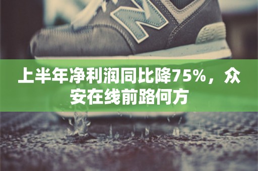 上半年净利润同比降75%，众安在线前路何方