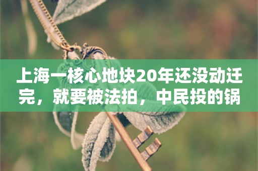 上海一核心地块20年还没动迁完，就要被法拍，中民投的锅谁来接?