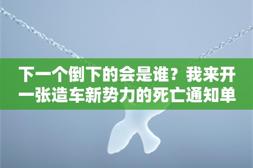 下一个倒下的会是谁？我来开一张造车新势力的死亡通知单