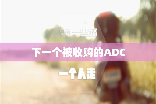 下一个被收购的ADC