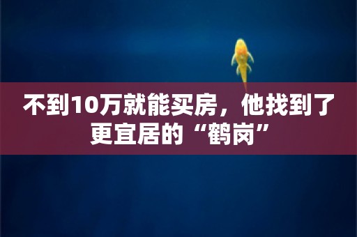 不到10万就能买房，他找到了更宜居的“鹤岗”