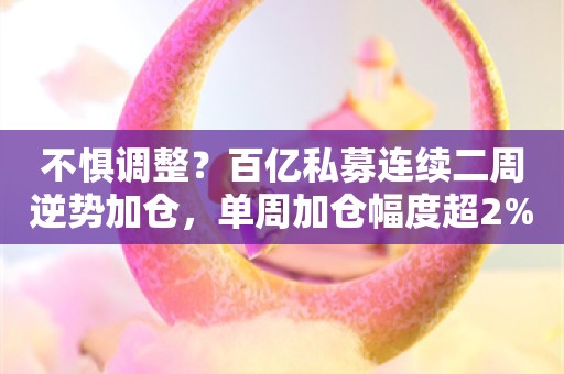 不惧调整？百亿私募连续二周逆势加仓，单周加仓幅度超2%