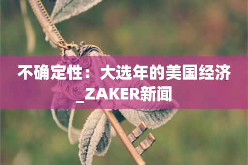 不确定性：大选年的美国经济_ZAKER新闻