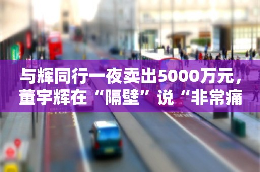 与辉同行一夜卖出5000万元，董宇辉在“隔壁”说“非常痛苦”